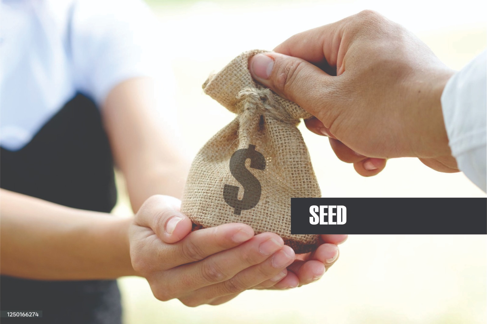 Believers studying open Bibles together around a table